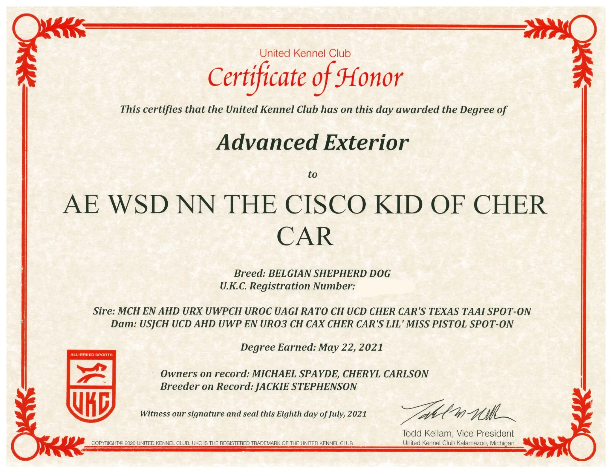 Advanced Exterior (AE)