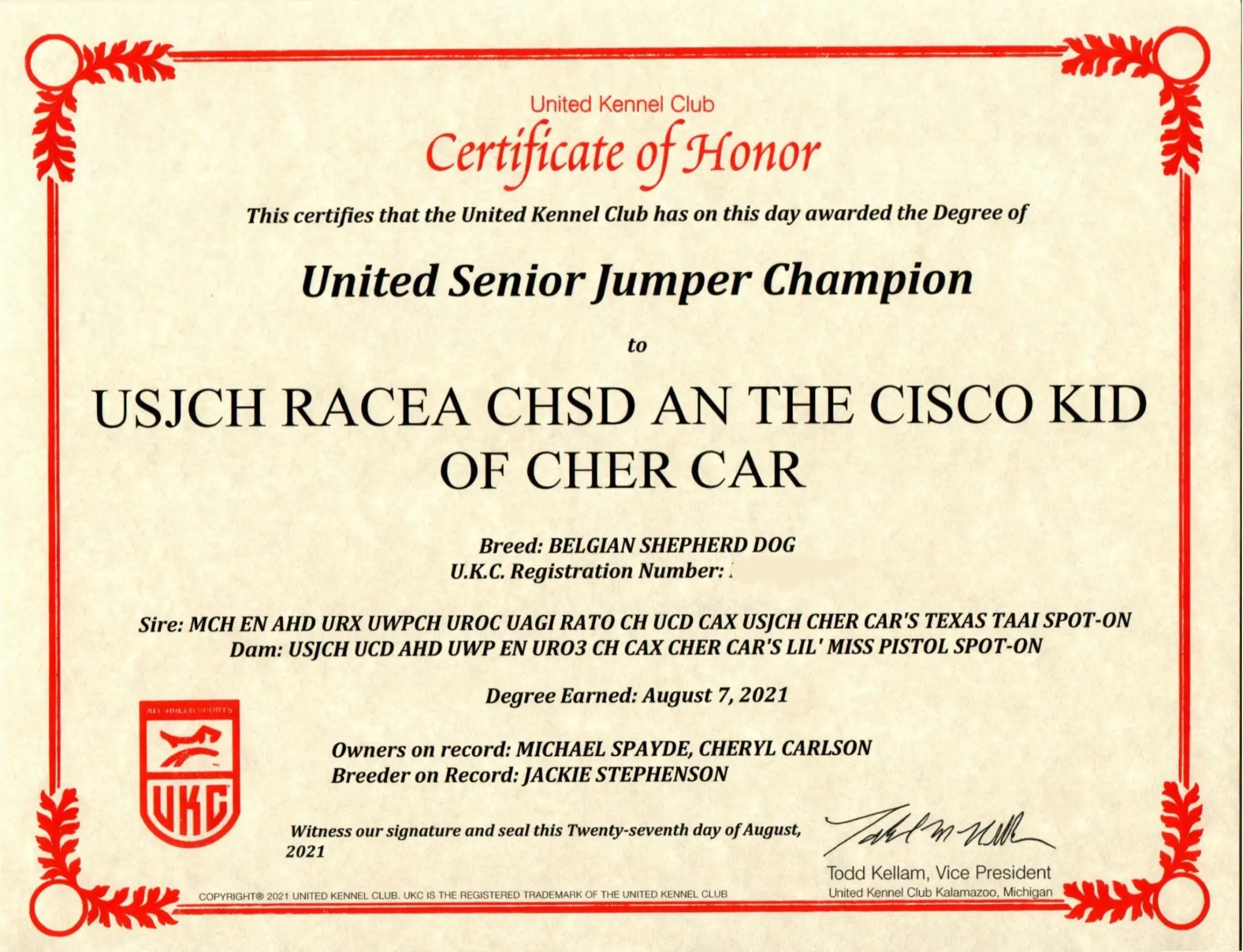 United Senior Jumper Champion (USJCH)