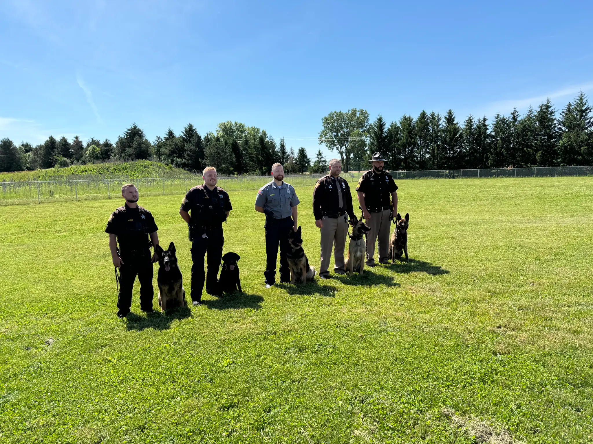 K9 Zuko additional photo 3